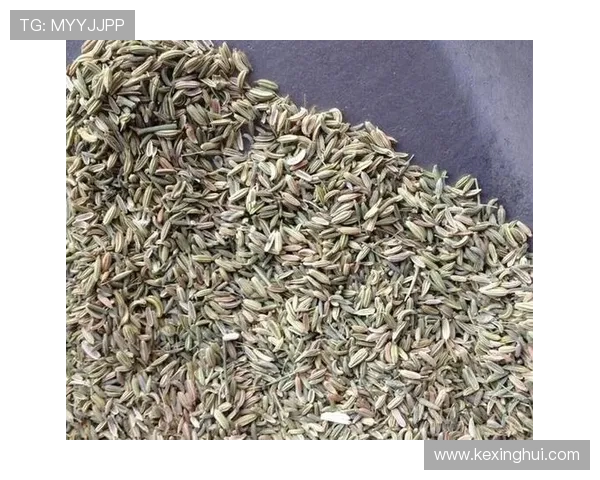 开云注册登录入口官方网站入口介绍及使用流程全方位指南