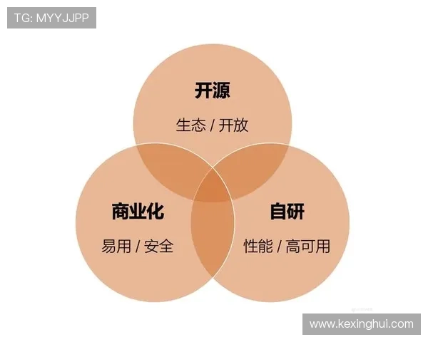 华体会体育官方皇马的赞助商：深度揭秘合作背后的商业战略