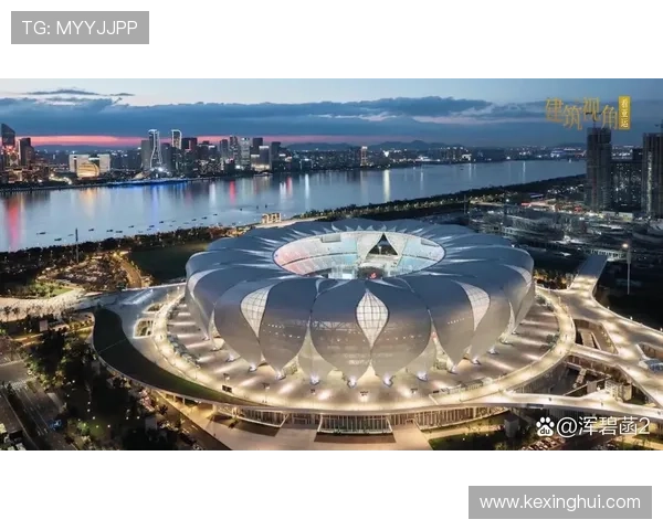 华体会体育官网app安全性与隐私保护措施全景分析