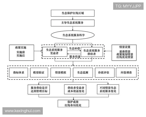 66体育平台的赛事回放功能及其在用户中的应用价值